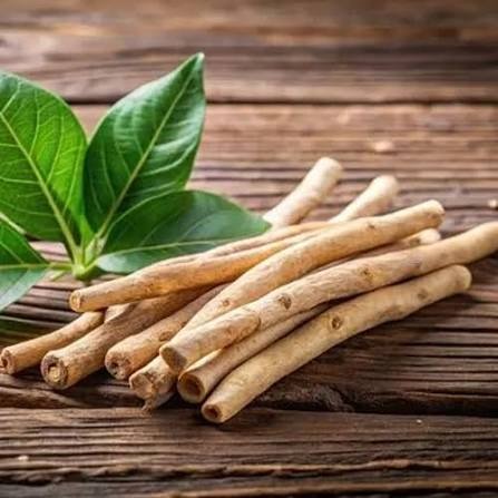 Premium organic raw root herbs representation
